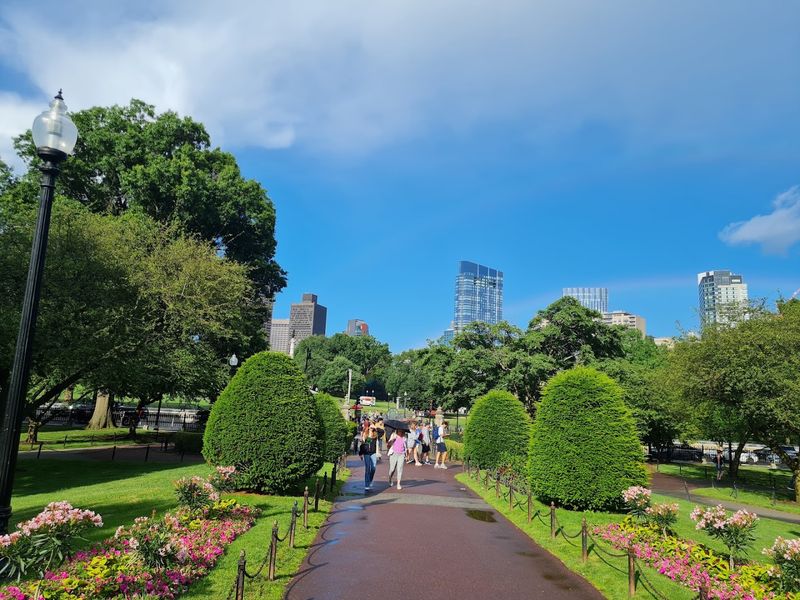 Public Garden - Boston, MA