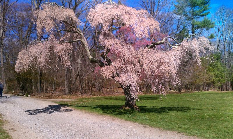 Borderland State Park, North Easton