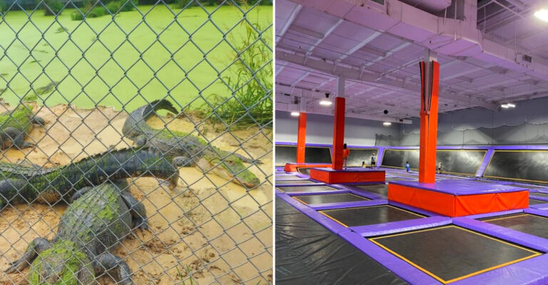 14 Mississippi Adventures Kids Love That Make Family Fun Easier On Your Wallet