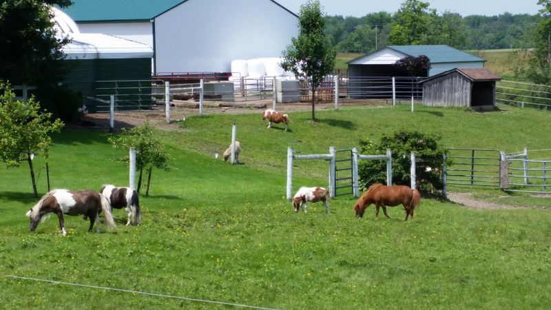 Gowanda — The Western NY Gem With The Right Vibe