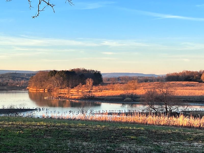 Hiwassee Wildlife Refuge, Birchwood