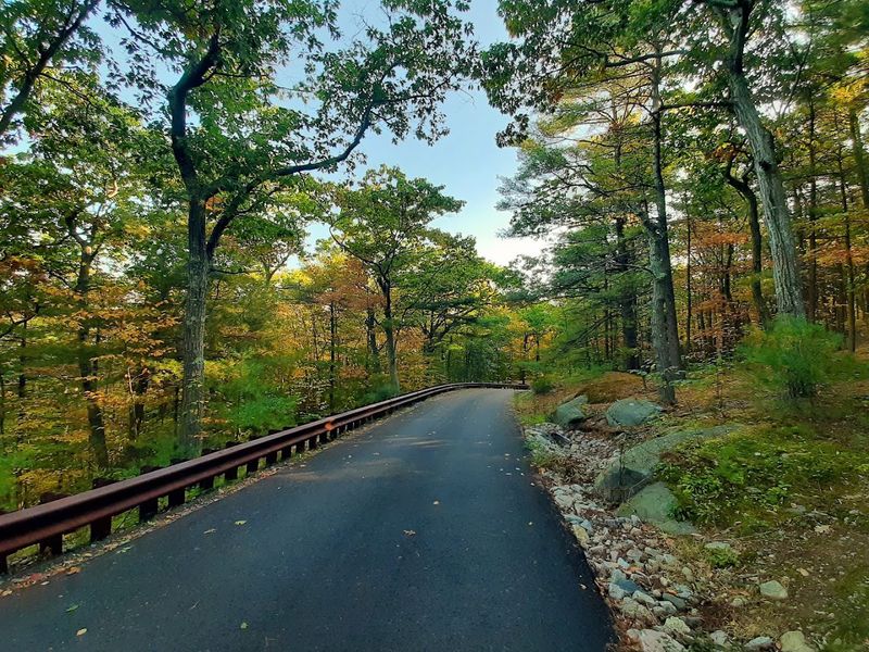 Blue Hills Reservation, Milton