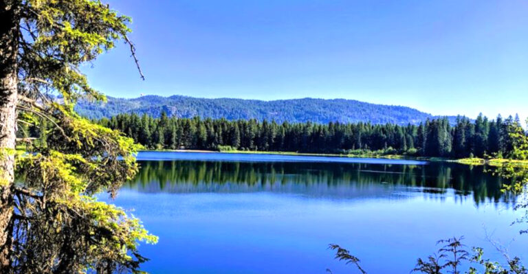 6 Peaceful Lakes Near Eau Claire Made For A Relaxing Kayak Trip