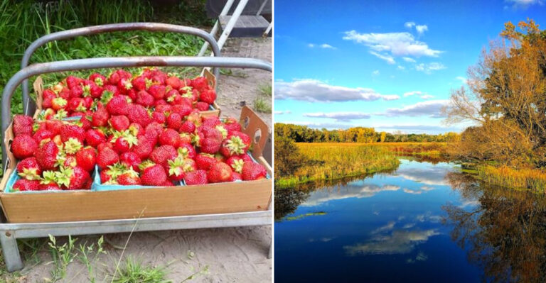 6 Wisconsin Beaches That Pair Perfectly With A Stop For Fresh Summer Berries