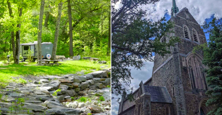 7 Areas In New York Where Black Bears Have Been Spotted This Summer