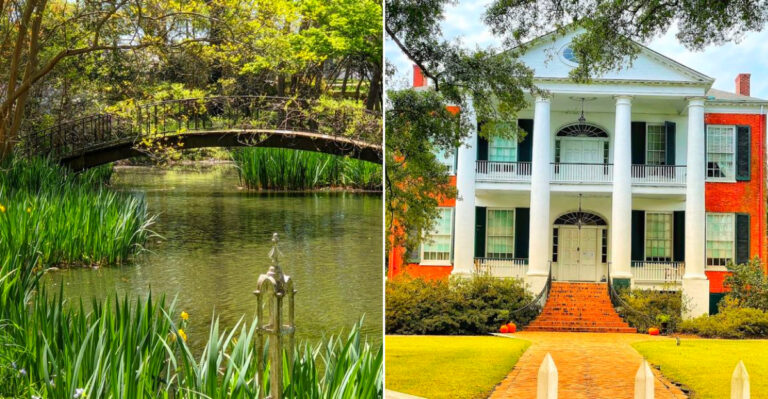 7 Enchanting Gardens In Mississippi That Will Make You Feel Like You’re In Alice In Wonderland