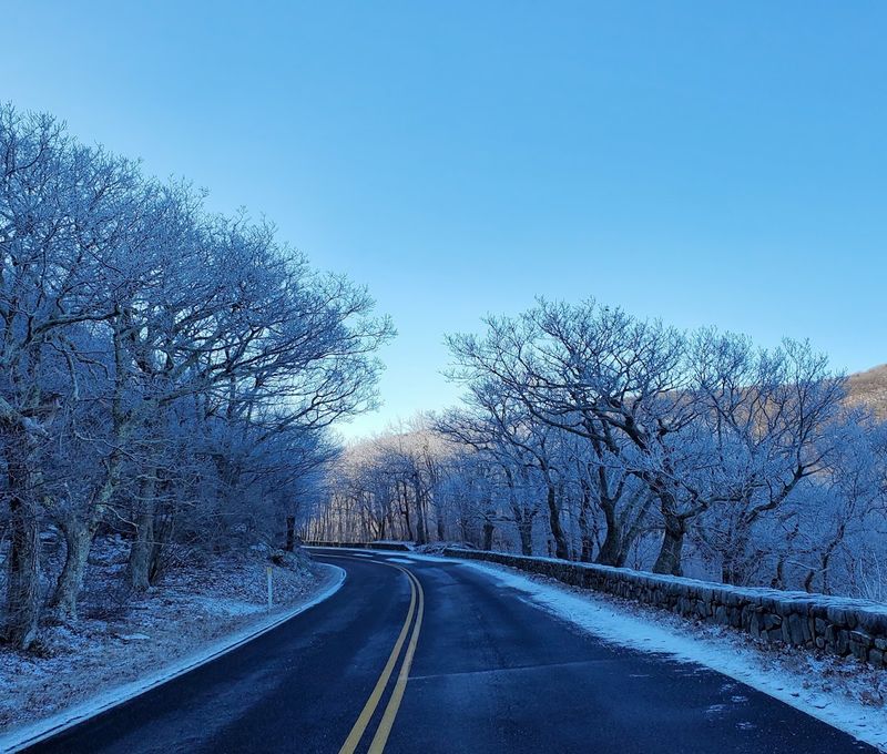 Four Seasons, One Road