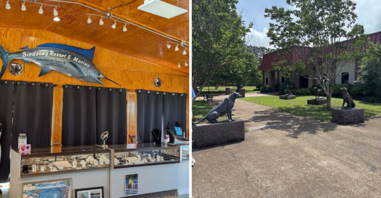 8 Absurdly Specific Tennessee Museums That Should Not Exist But Do