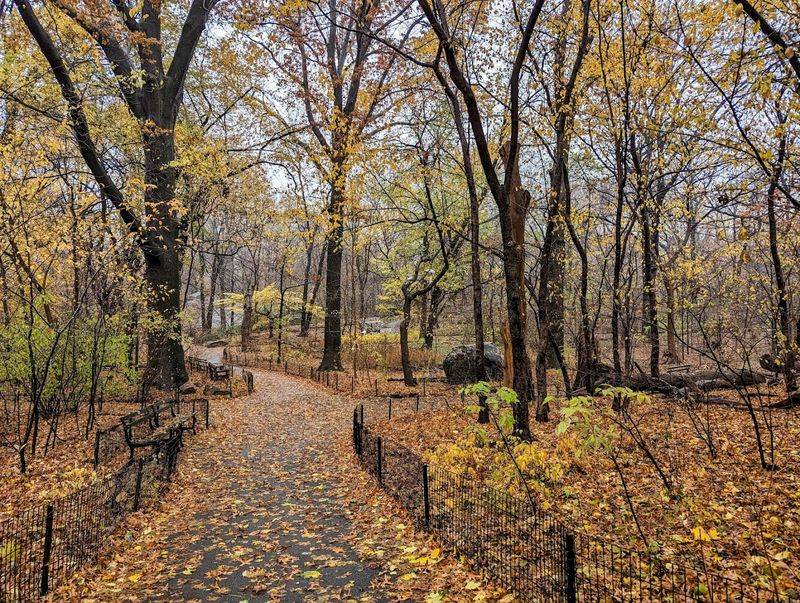 The Ramble, Central Park, Manhattan