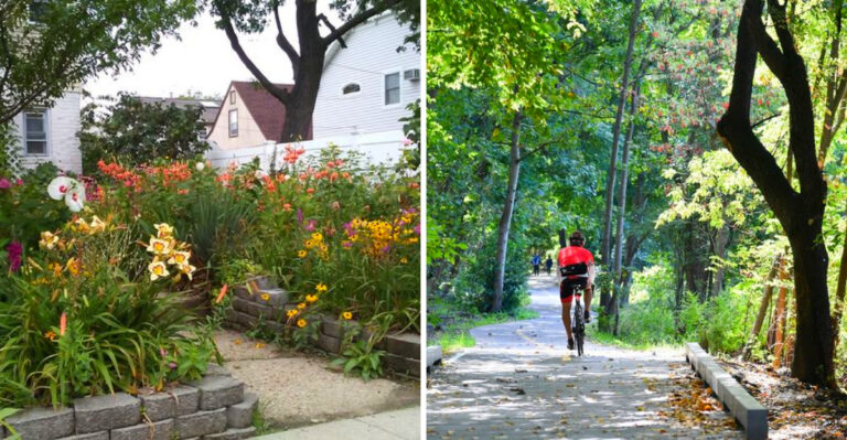 8 Areas In New York Where Coyotes Have Been Spotted Near Suburban Neighborhoods