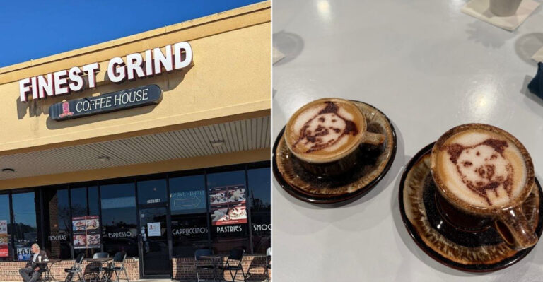 8 Mississippi Cafés Where Furry Friends Make Every Coffee Visit Memorable