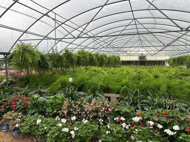Vesely's Nursery