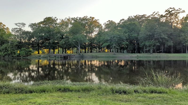 Lefleur's Bluff State Park