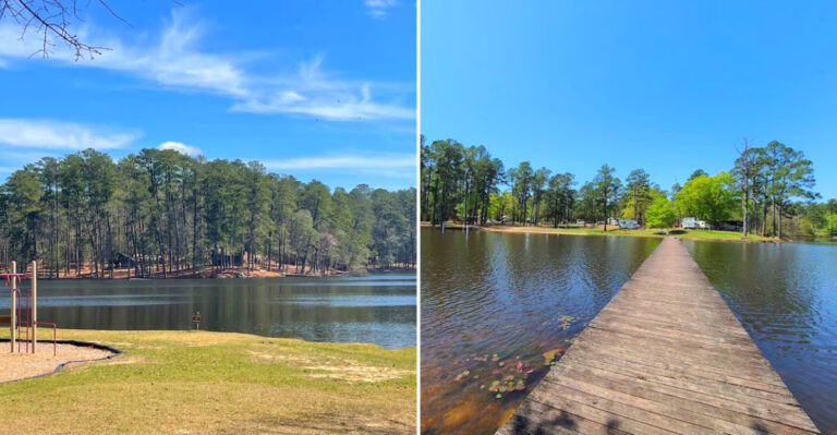 8 Mississippi Parks And Recreational Areas Where Fire Ant Mounds Are A Real Problem This Summer
