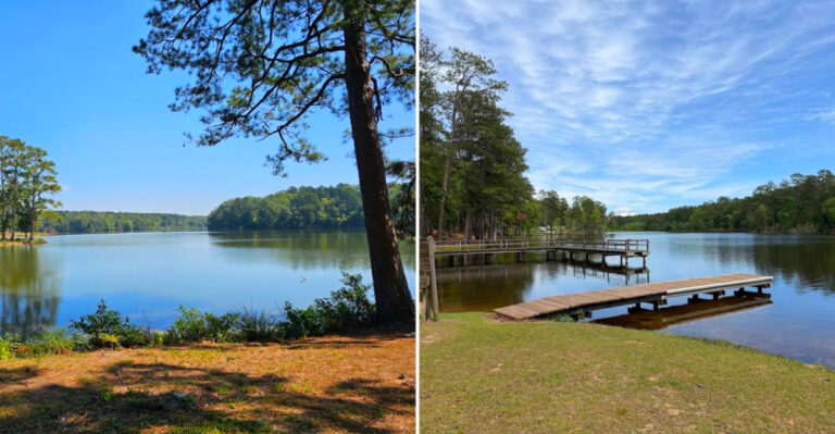 8 Mississippi State Parks With Sandy Beaches And Shaded Picnic Areas You Have To Try In 2026
