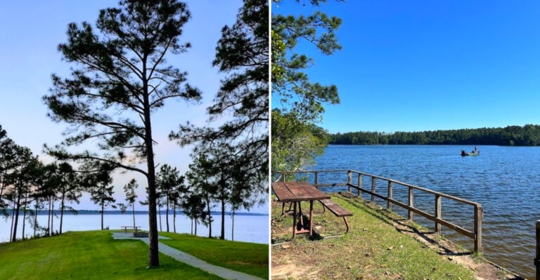 8 Mississippi Swimming Holes So Clear They Make People Question Everything They Knew About The State
