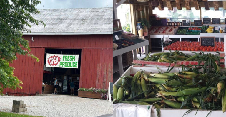 8 Ohio Farm Stands So Good They Are Worth Building A Weekend Around
