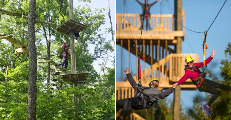 8 Treetop Zipline And Canopy Adventures Across Wisconsin