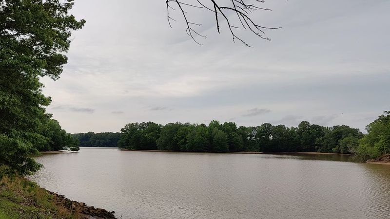 Sardis Lake, Panola County