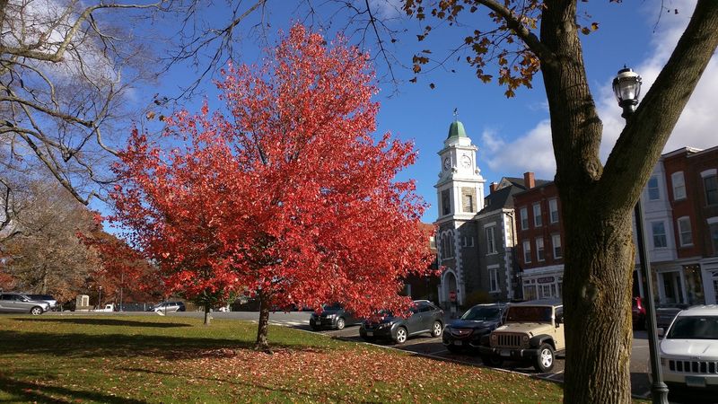 Litchfield