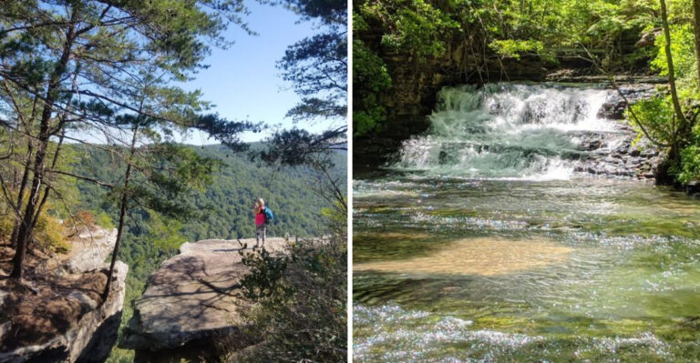 9 Epic Tennessee Day Hikes That Will Make You Forget Your Phone Exists