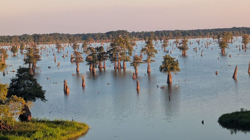 Atchafalaya Basin