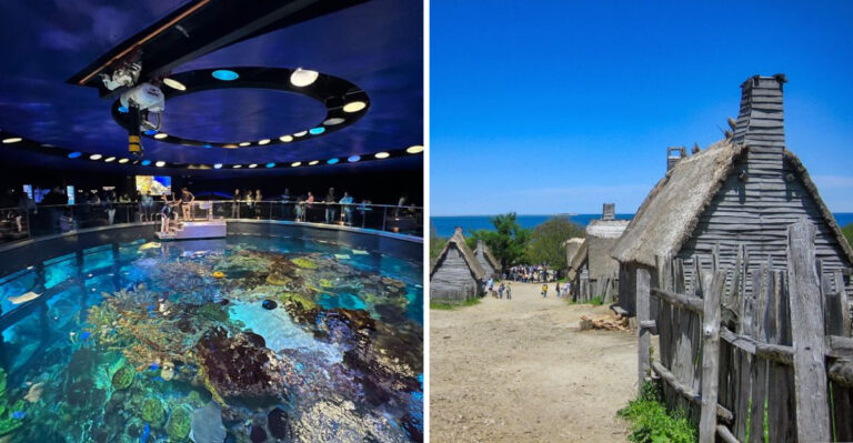 9 Massachusetts Outings That Make Grumpy Families Smile Again