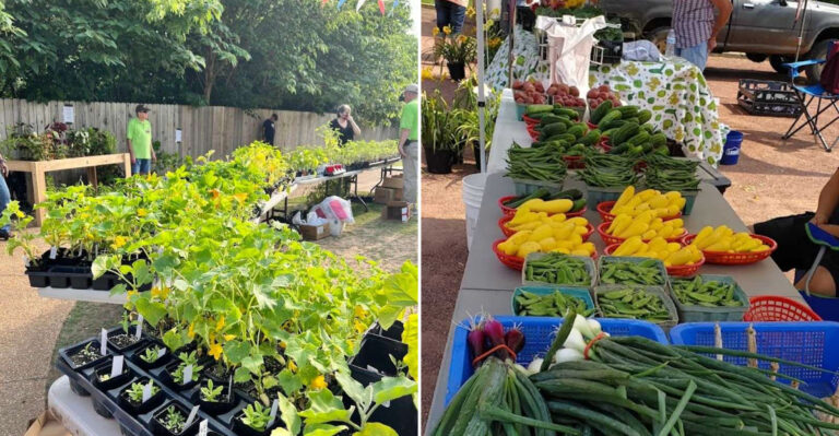 9 Mississippi Markets Where You Can Eat, Shop, And Browse All Day Long