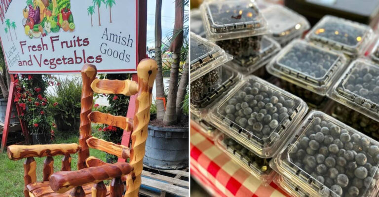 9 Mississippi Roadside Produce Markets Filled With Farm Fresh Produce And Homemade Goodies