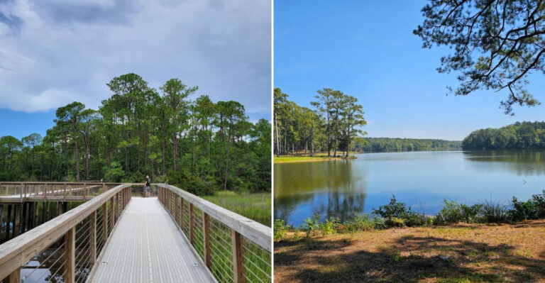 9 Mississippi State Parks With Beaches, Trails, And Surprising Natural Features Worth The Drive In 2026