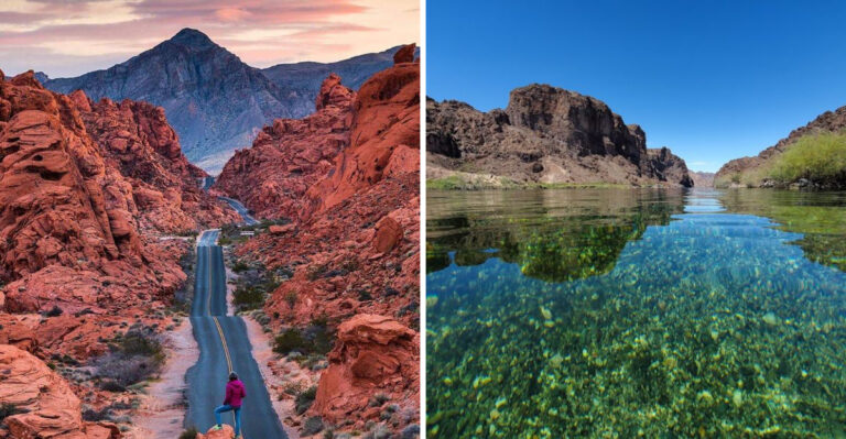 9 Places In Nevada Where Spotting Bighorn Sheep Is Nearly Guaranteed