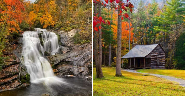 9 Secluded Tennessee Cycling Destinations For A Relaxing Outdoor Escape