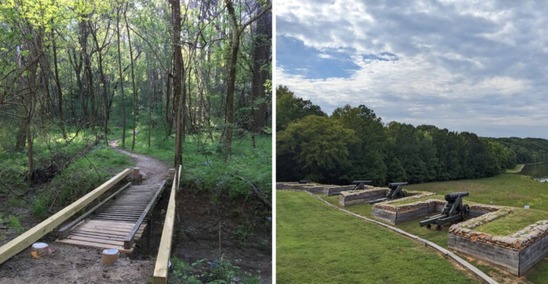 9 Tennessee Outdoor Areas Where Visitors Should Watch For Ticks This Summer