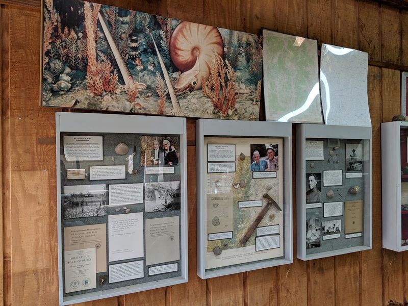 Coon Creek Science Center, Adamsville