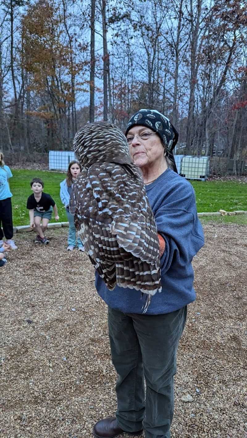 Happinest Wildlife Rescue, Signal Mountain