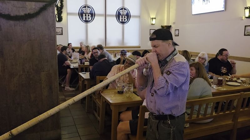 Live Music That Transforms Your Meal