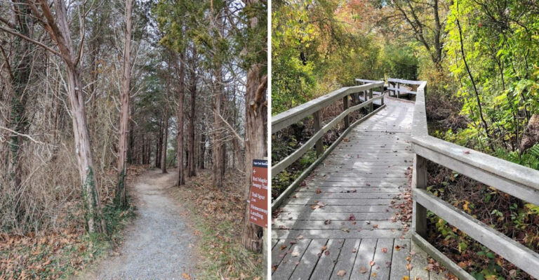 A Beginner-Friendly Hike In Massachusetts To Tackle This Summer