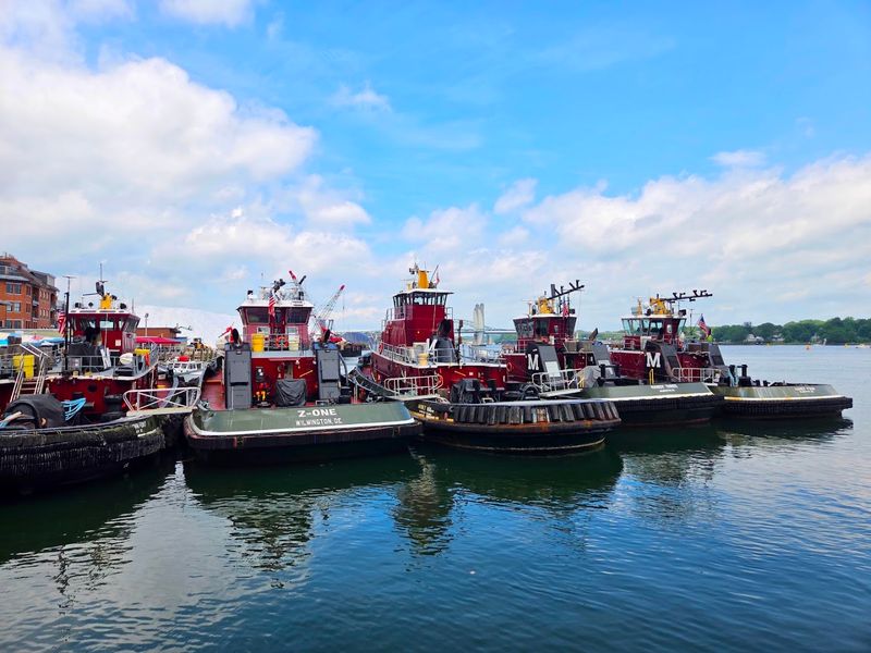 Tugboats And Terns