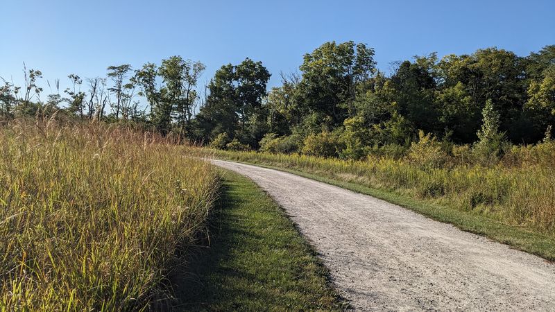 Nearly 500 Acres Of Prairie That Actually Bloom