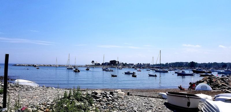 The Harbor That Stole The Spotlight