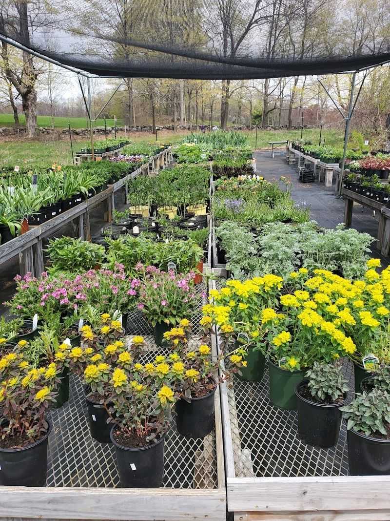 Thousands Of Blooms Awaiting You