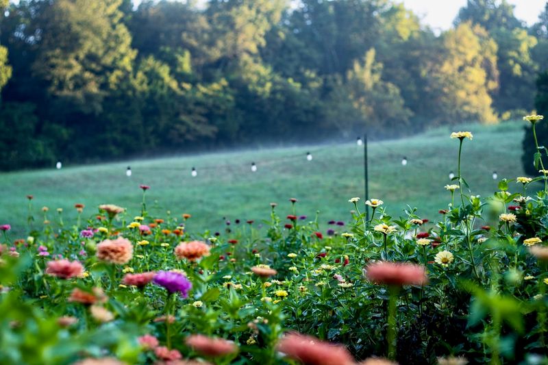 A Commitment To Sustainable Beauty