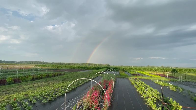 Getting To The Farm And What To Expect On Arrival
