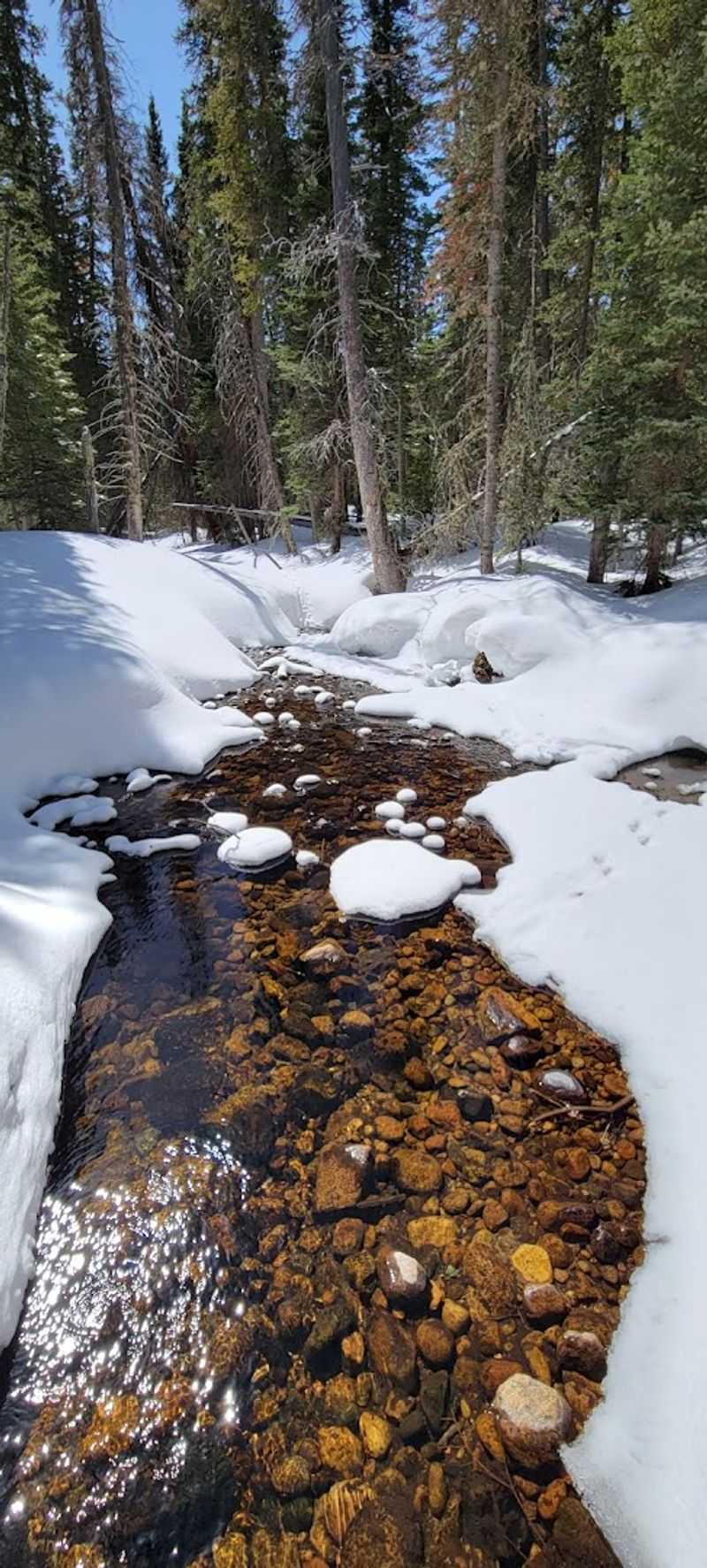 Creek Crossings And Trail Magic