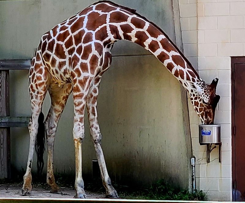 Free Admission That Makes Every Visit Feel Like A Win