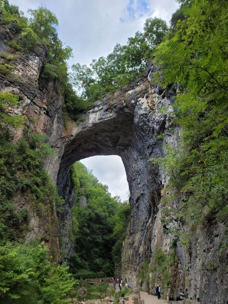 The Perfect Pit Stop Near Natural Bridge State Park