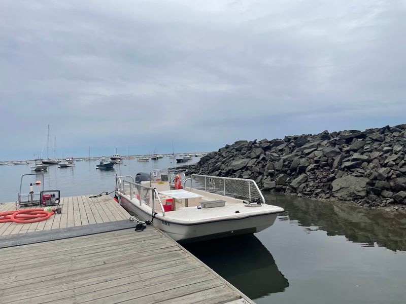 The Dedicated Hands Of Aquaculture