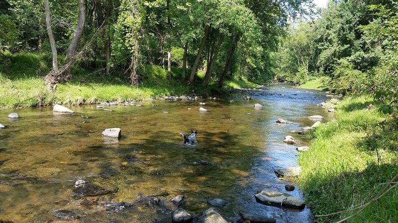 The Little Gunpowder Falls Still Rushes Past The Mill