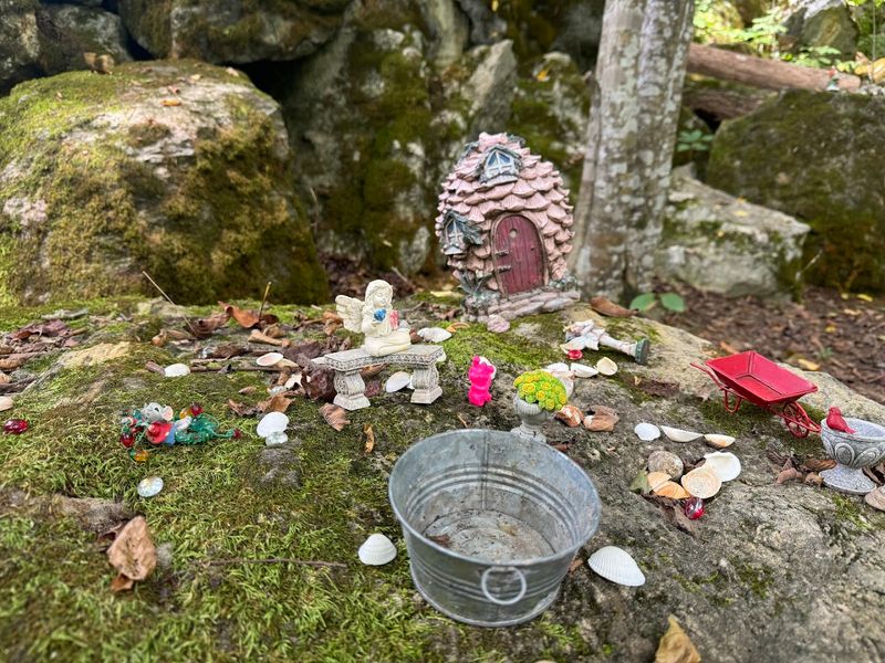 The Whispering Trail And Its Miniature Dwellings