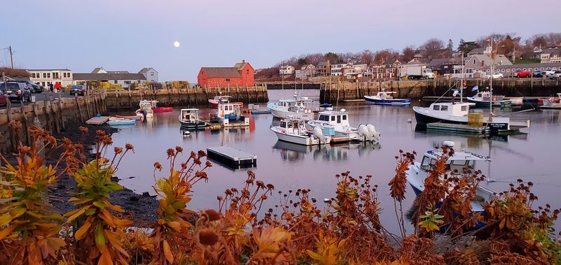 Where Art Finds Its Perennial Canvas